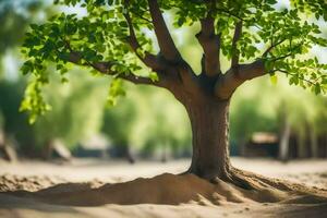 a tree in the sand with a blurry background. AI-Generated photo