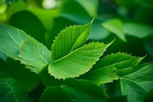 a close up of green leaves on a tree. AI-Generated photo