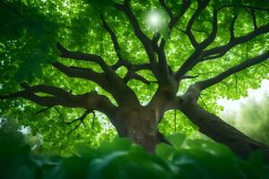 a tree with green leaves and sunlight shining through. AI-Generated photo