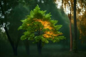 un árbol con amarillo hojas en el medio de un bosque. generado por ai foto