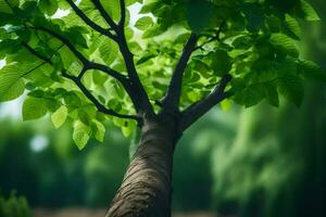 un árbol con verde hojas en el medio de un campo. generado por ai foto