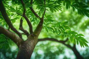 a tree with green leaves and a blurry background. AI-Generated photo