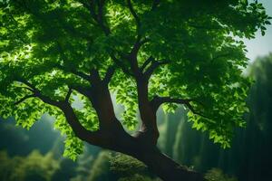 a tree in the middle of a forest. AI-Generated photo