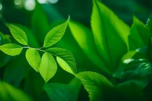 a close up of green leaves in the forest. AI-Generated photo