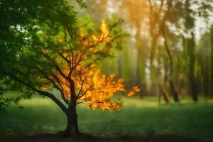 un árbol con naranja hojas en el medio de un campo. generado por ai foto