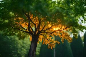 un árbol con el Dom brillante mediante él. generado por ai foto