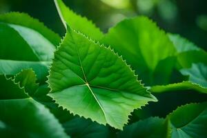 a close up of a green leaf. AI-Generated photo
