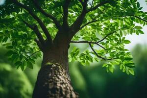 a tree with green leaves in the background. AI-Generated photo