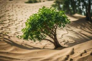 a lone tree in the desert. AI-Generated photo