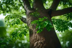 a tree with green leaves and a blurry background. AI-Generated photo