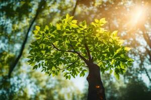 a tree with green leaves in the sun. AI-Generated photo