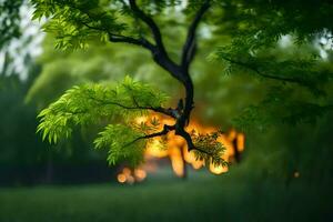 un árbol rama en el medio de un campo. generado por ai foto