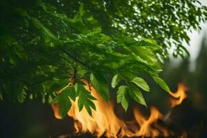 a fire is burning in the woods with green leaves. AI-Generated photo