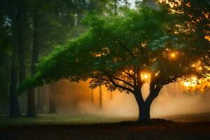 un árbol en el medio de un brumoso bosque. generado por ai foto