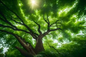 the sun shines through the canopy of a tree. AI-Generated photo