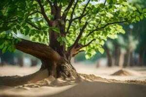 a tree in the sand with a sand dune in the background. AI-Generated photo