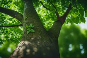 a tree with leaves and green leaves. AI-Generated photo