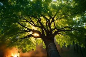 un árbol es visto en el Dom con fumar viniendo desde él. generado por ai foto