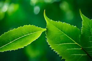 two green leaves are shown in front of a green background. AI-Generated photo