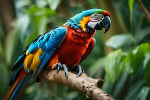 a colorful parrot sits on a branch in the forest. AI-Generated photo