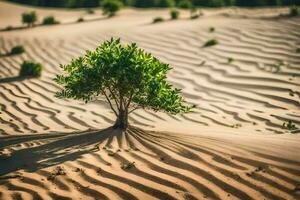 a lone tree in the middle of a desert. AI-Generated photo