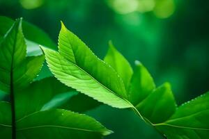 verde hojas en un verde antecedentes. generado por ai foto