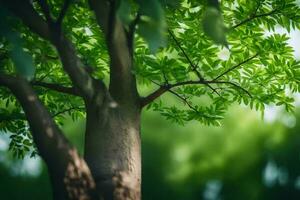 a tree with green leaves in the background. AI-Generated photo