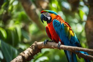 a colorful parrot sits on a branch. AI-Generated photo