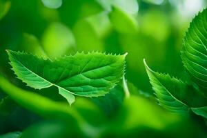 a close up of green leaves on a plant. AI-Generated photo