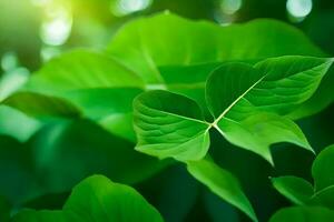 a close up of green leaves in the sunlight. AI-Generated photo