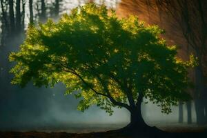 un árbol en el niebla con un brillante Dom. generado por ai foto