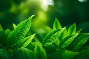 verde hojas en el luz de sol con luz de sol brillante a través de. generado por ai foto