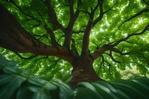 un árbol es visto desde abajo con verde hojas. generado por ai foto