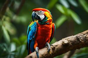 a colorful parrot is sitting on a branch. AI-Generated photo