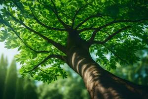a tree is shown in the sunlight with green leaves. AI-Generated photo