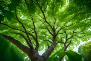 a tree is seen from below with green leaves. AI-Generated photo