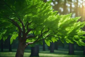 a tree in the middle of a forest with sunlight shining through. AI-Generated photo