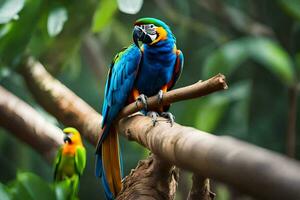 two colorful parrots sitting on a branch. AI-Generated photo