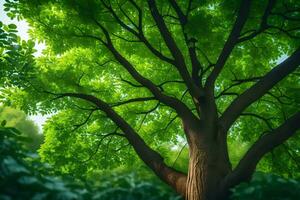 un árbol en el bosque con verde hojas. generado por ai foto