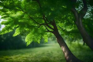 a tree with green leaves in the middle of a field. AI-Generated photo