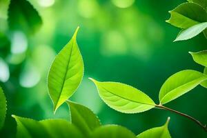 verde hojas en un árbol. generado por ai foto