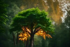 a tree with a light shining through it. AI-Generated photo