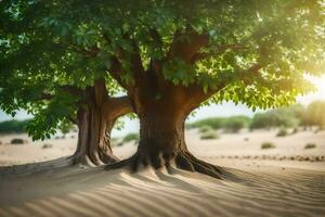 two trees in the desert with sand in the background. AI-Generated photo