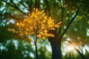 a tree with yellow leaves in the sun. AI-Generated photo