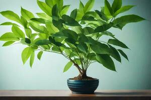 a potted plant with green leaves on a table. AI-Generated photo