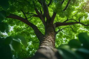 the sun shines through the leaves of a tree. AI-Generated photo