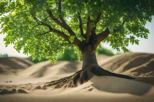 a tree in the desert with sand dunes in the background. AI-Generated photo