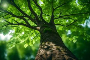 a tree is seen from below with green leaves. AI-Generated photo