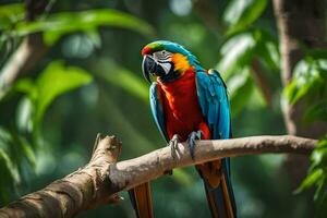 a colorful parrot sits on a branch in the forest. AI-Generated photo