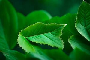 a close up of green leaves on a tree. AI-Generated photo